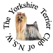 ICON Yorkshire Terrier Club N.S.W
