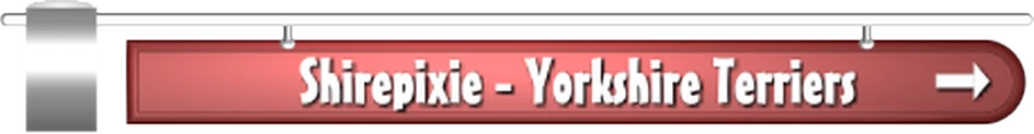 Shirepixie-Header -0