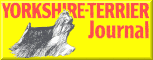 Yorkshire-Terrier Journal-de
